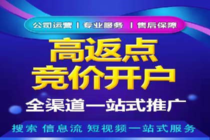 SEM竞价员的核心技能与成功案例解析
